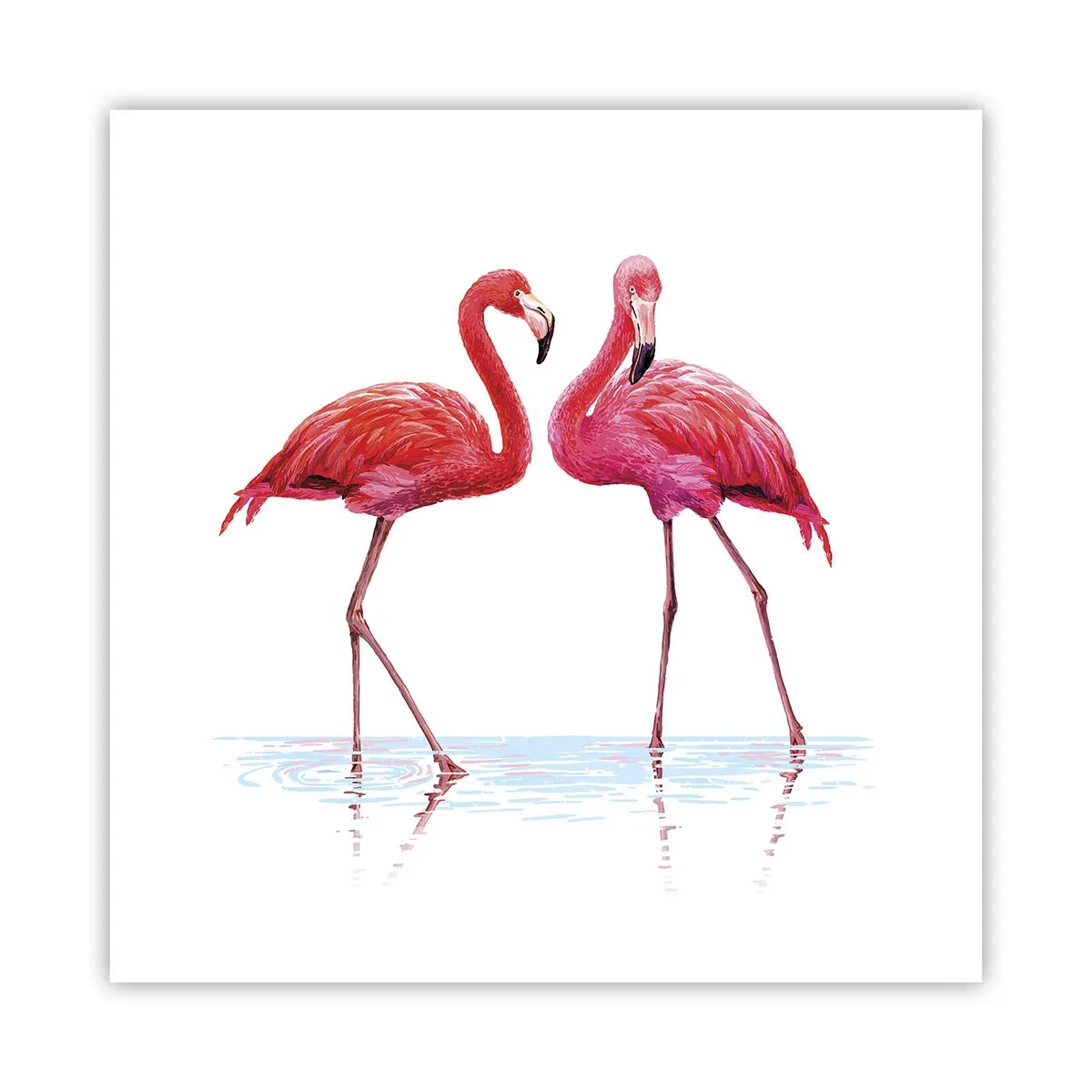 Poster - Rosa randez-vous - 40x40 cm