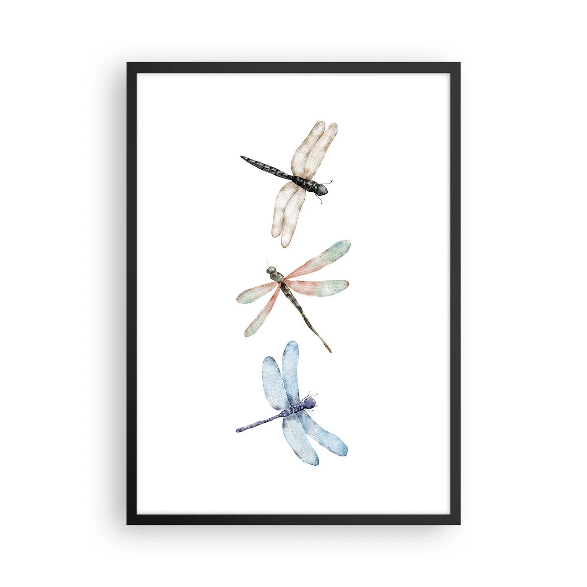 Poster in einem schwarzem Rahmen - Drei Libellen in Aquarell gemalt - 50x70cm - Schwerelose Libellen - Moderne Wanddekoration für Wohnzimmer und Schlafzimmer ARTTOR