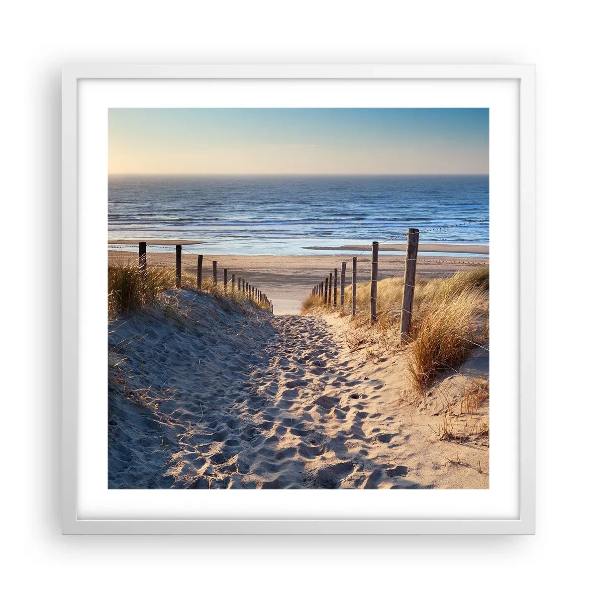 Poster in einem weißen Rahmen - Das Rauschen des Meeres, der Gesang der Vögel, ein wilder Strand im Gras ... - 50x50 cm