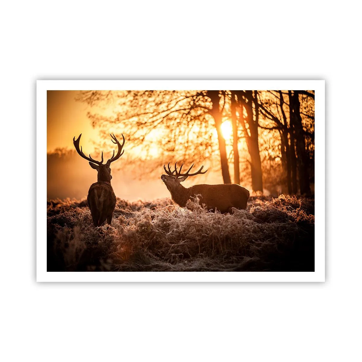 Poster - Zwei Hirsche bei Sonnenuntergang in einer Winterlandschaft - 100x70cm - Der Traum eines Jägers - Moderne Wanddekoration für Wohnzimmer und Schlafzimmer ARTTOR