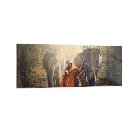 Glasbild - Bild auf glas - Ein Mönch in einer orangefarbenen Robe führt einen Elefanten durch den Wald. - 140x50cm - Volles Verständnis - Moderne Wanddekoration für Wohnzimmer und Schlafzimmer ARTTOR
