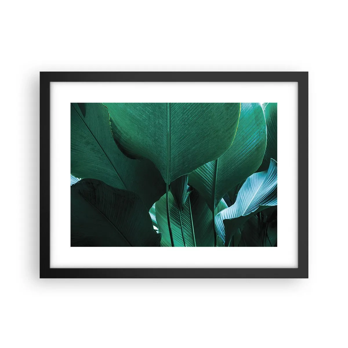 Poster in einem schwarzem Rahmen - Dem Licht zugewandt - 40x30 cm