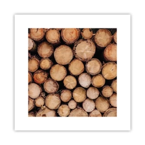 Poster - Ein neuer Anfang - 30x30 cm