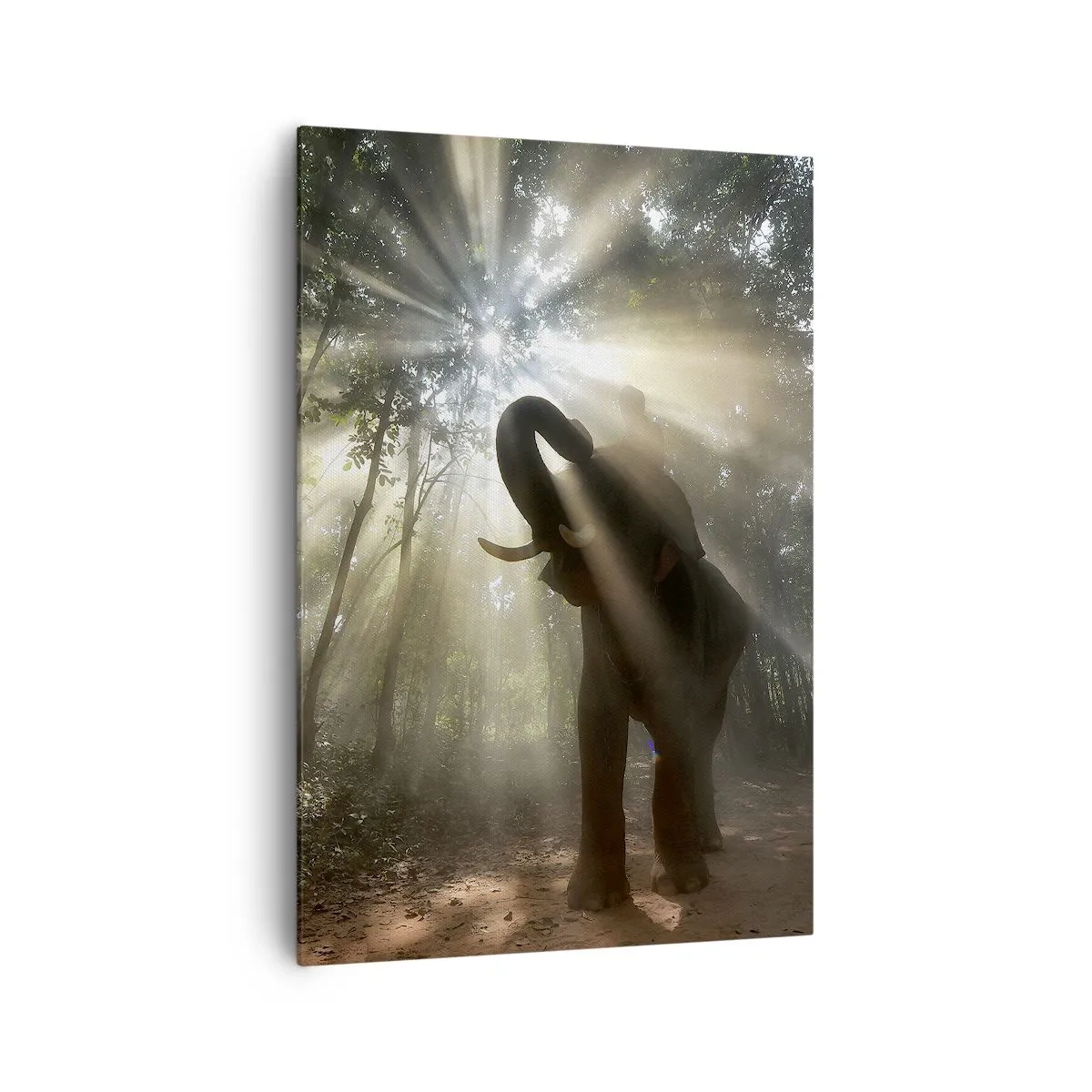 Bild auf Leinwand - Leinwandbild - Ein Elefant im Wald, umgeben von Lichtstrahlen im Morgennebel - 70x100cm - Unter dem Glücksstern - Moderne Wanddekoration für Wohnzimmer und Schlafzimmer ARTTOR