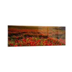 Glasbild - Bild auf glas - Ein Feld mit roten Mohnblumen im Schein der untergehenden Sonne - 160x50cm - Unter den Wellen raschelnder Wiesen, unter den Blumen der Flut - Moderne Wanddekoration für Wohnzimmer und Schlafzimmer ARTTOR