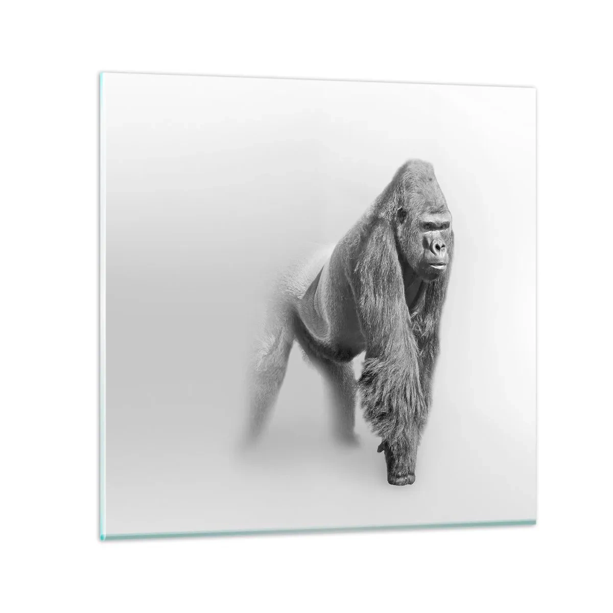 Glasbild - Bild auf glas - Zuversichtlich in seiner Stärke - 70x70 cm