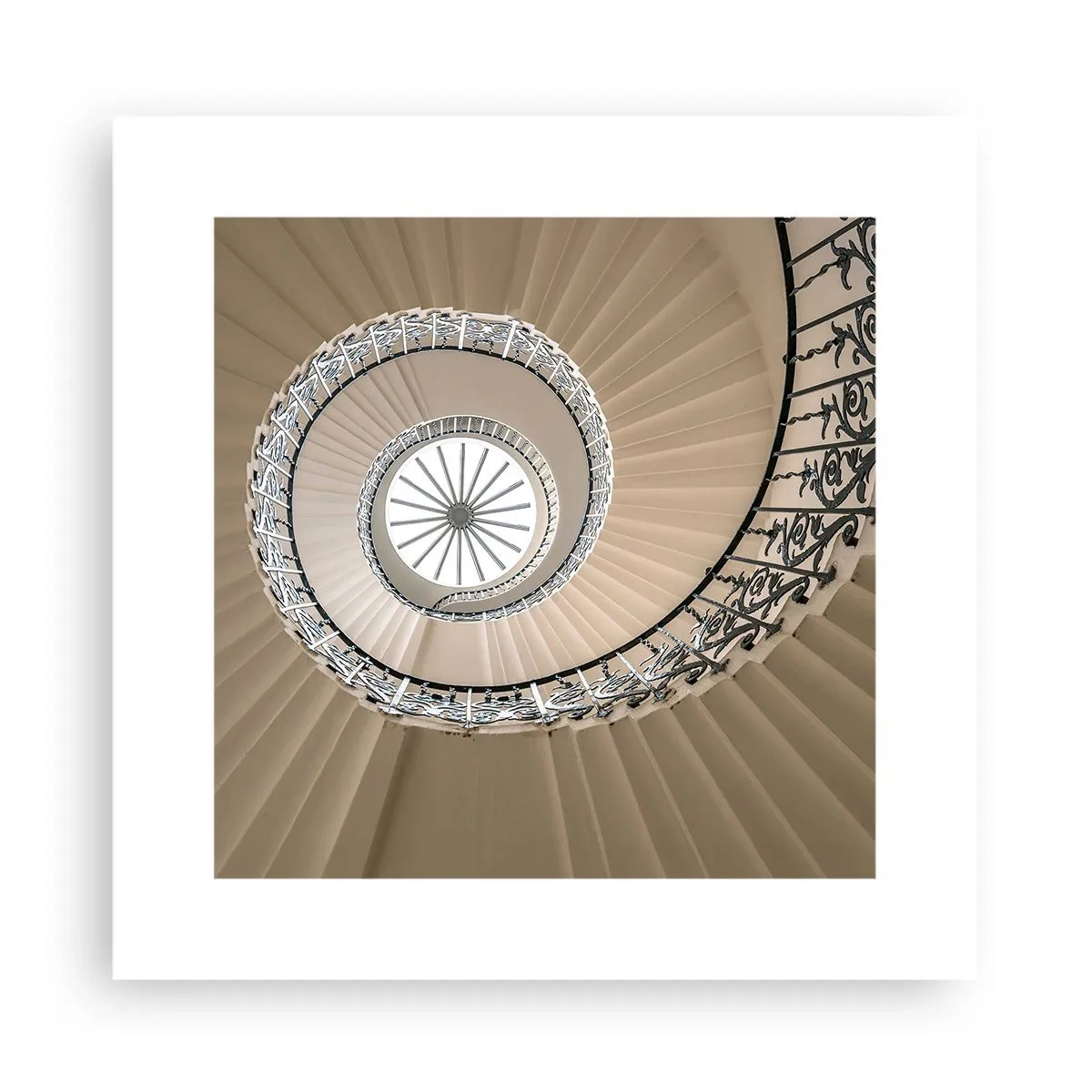 Poster - Im Inneren der Muschel - 30x30 cm