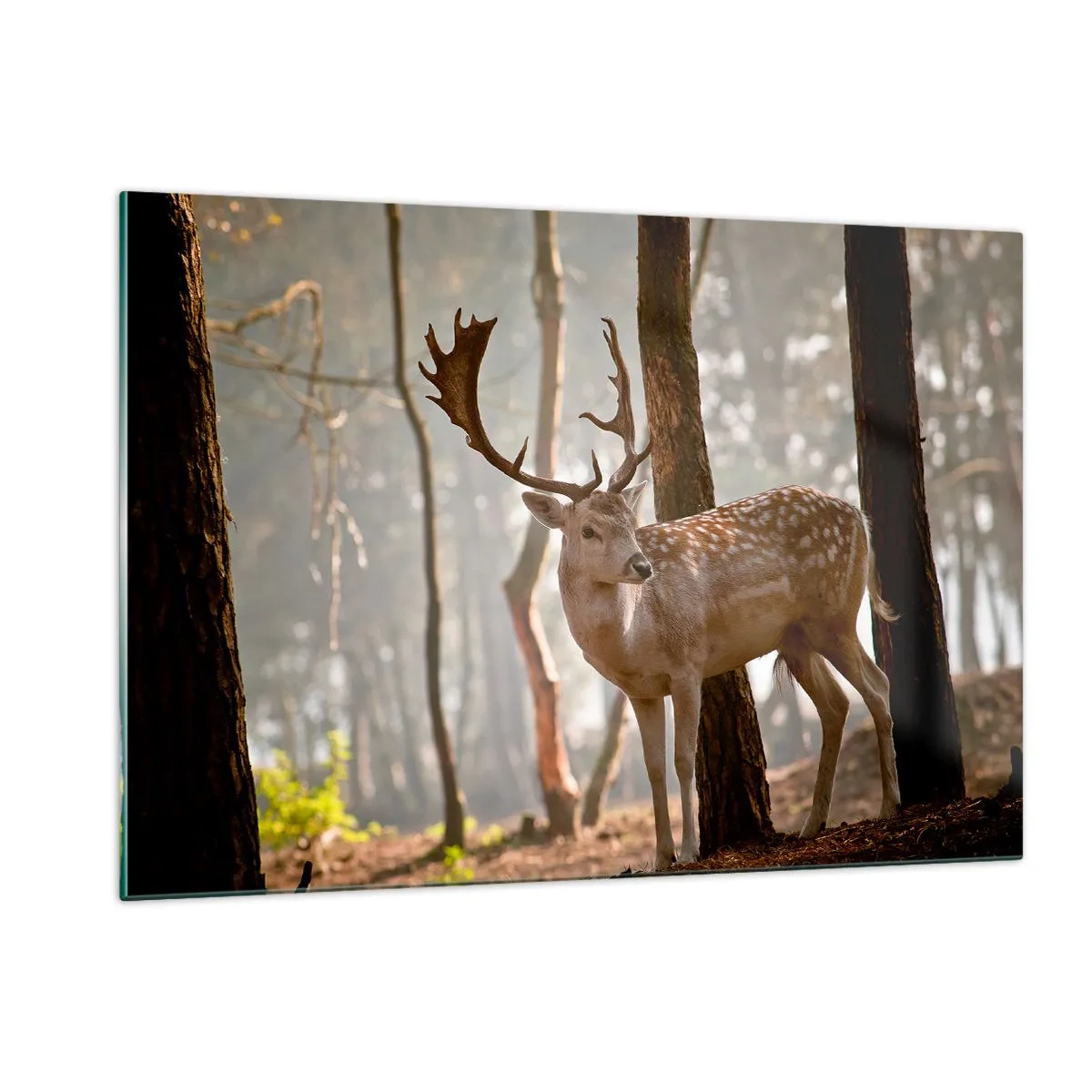 Glasbild - Bild auf glas - Ein Reh im Wald, umgeben von Morgennebel - 120x80cm - Das Licht der Jugend - Moderne Wanddekoration für Wohnzimmer und Schlafzimmer ARTTOR