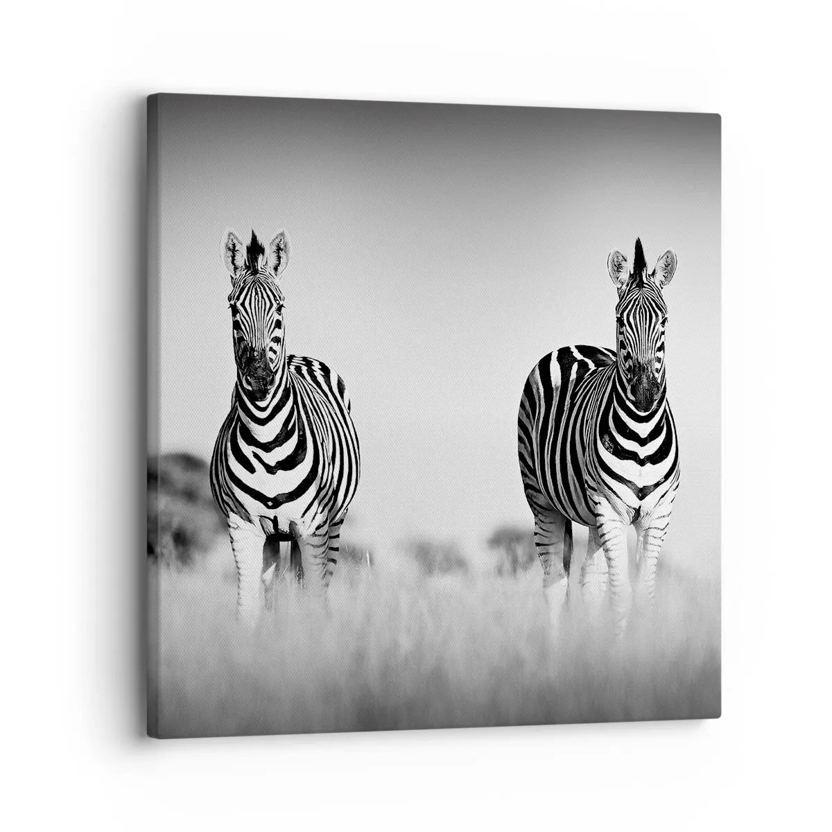 Bild auf Leinwand - Leinwandbild - Die Welt ist doch schwarz-weiß - 30x30 cm