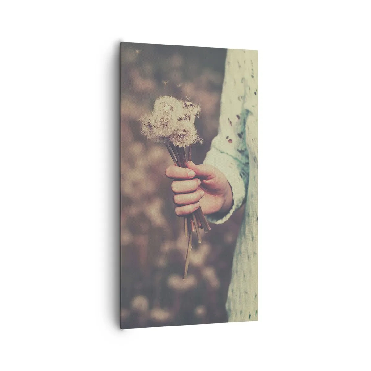 Bild auf Leinwand - Leinwandbild - Bitte behalte sie - 65x120 cm