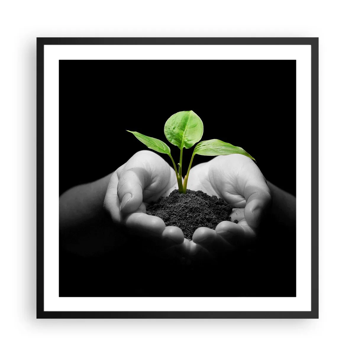 Poster in einem schwarzem Rahmen - Ich liebe die Natur, ich beschütze sie - 60x60 cm