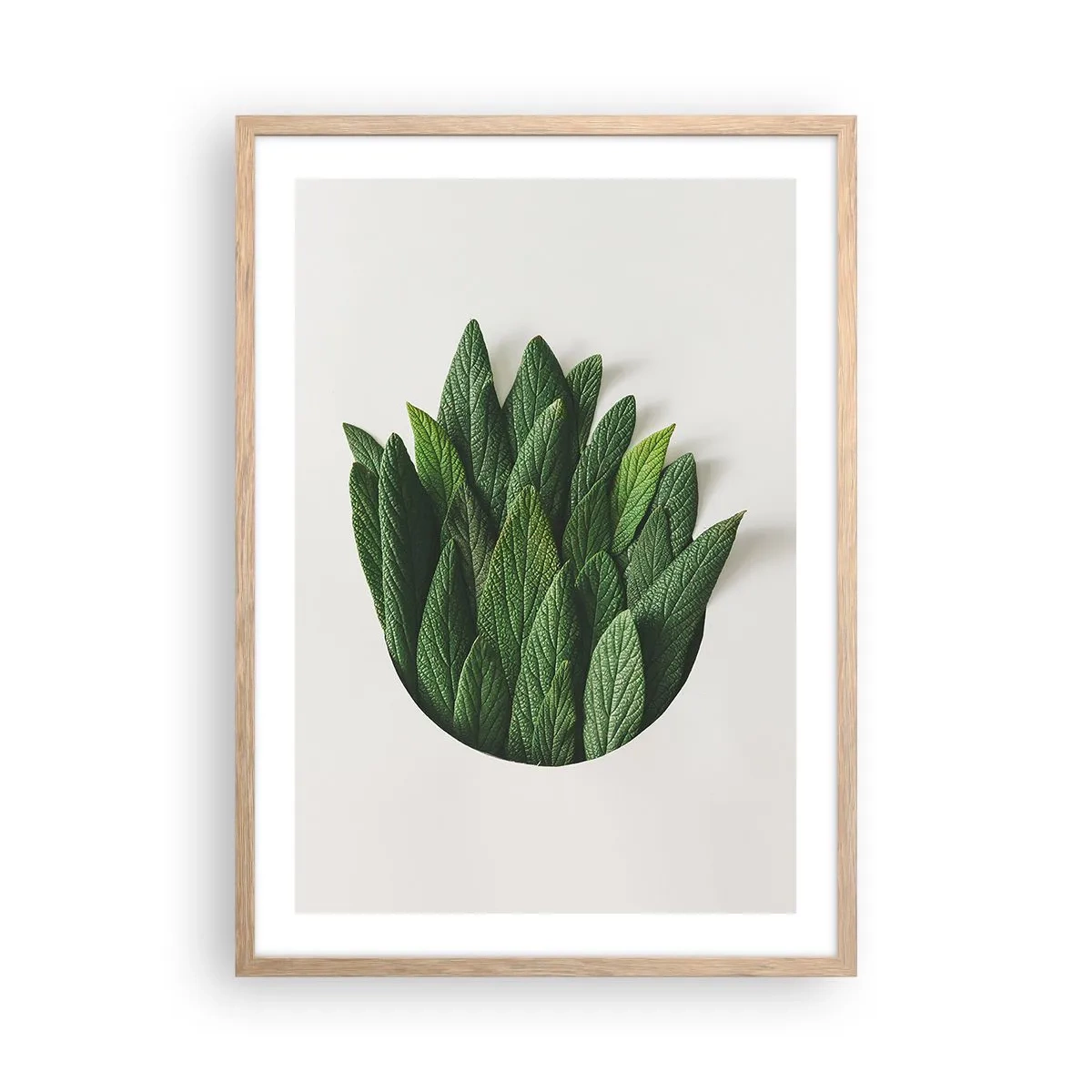 Poster in einem Rahmen aus heller Eiche - Ungebremste Neugier - 50x70 cm