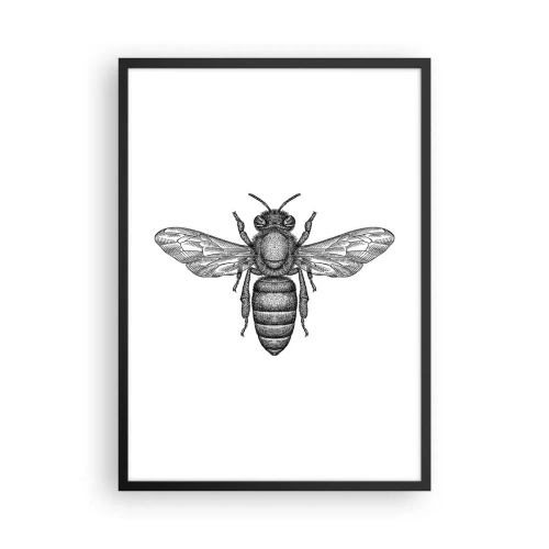 Poster in einem schwarzem Rahmen - Präzise Abbildung einer Biene auf weißem Hintergrund - 50x70cm - Insektenporträt - Moderne Wanddekoration für Wohnzimmer und Schlafzimmer ARTTOR