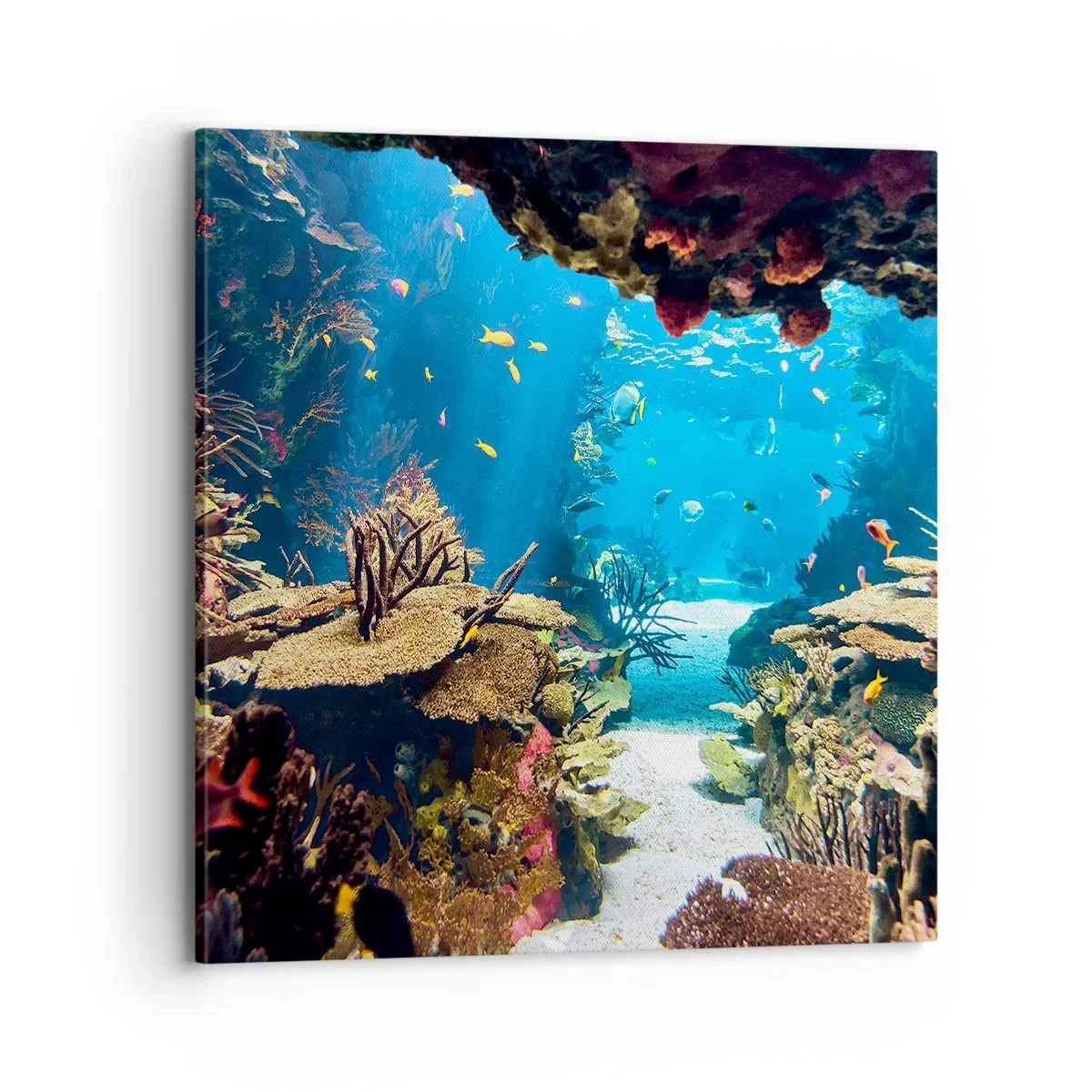 Bild auf Leinwand - Leinwandbild - Du hast es noch nicht einmal geträumt - 70x70 cm