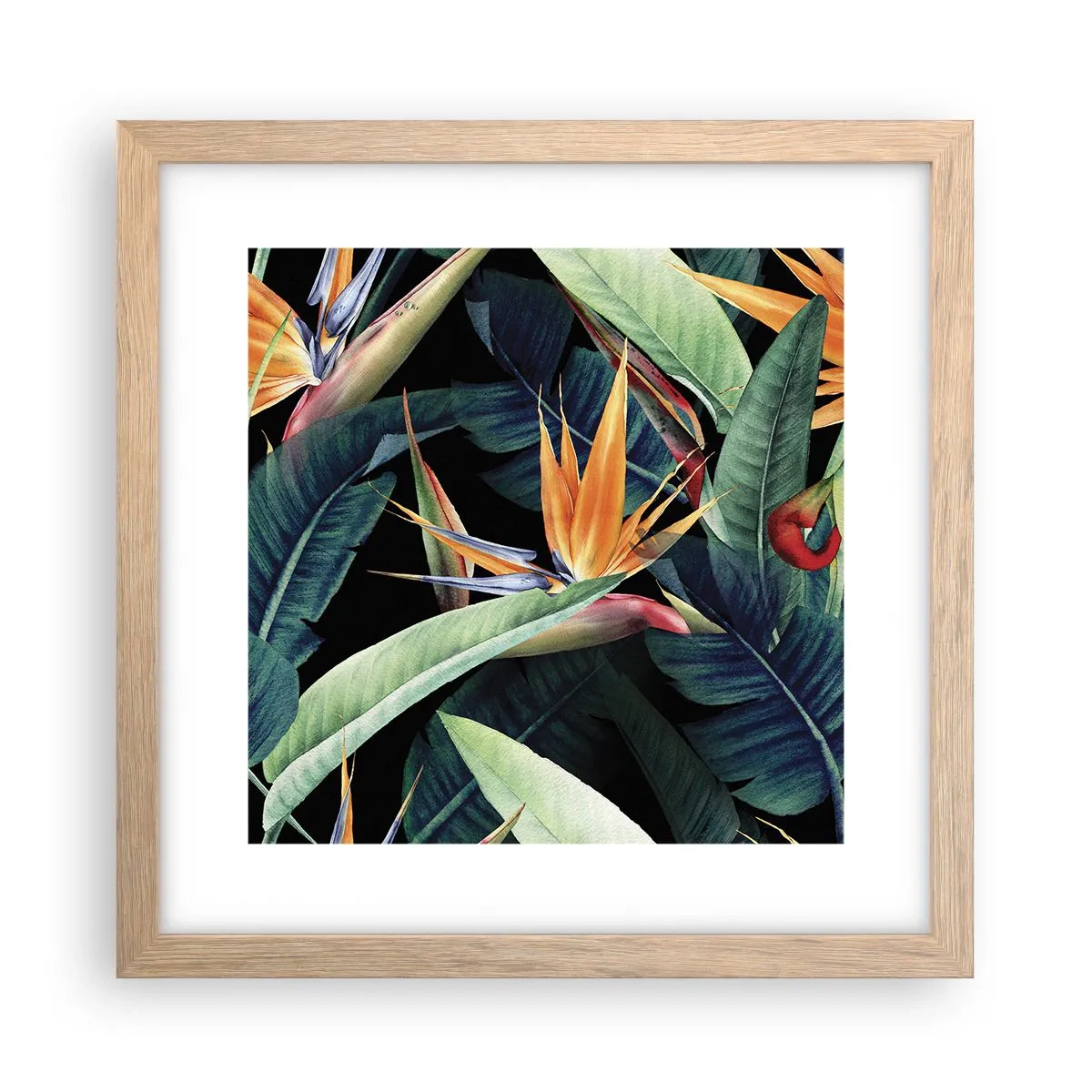 Poster in einem Rahmen aus heller Eiche - Flammende Blumen der Tropen - 30x30 cm