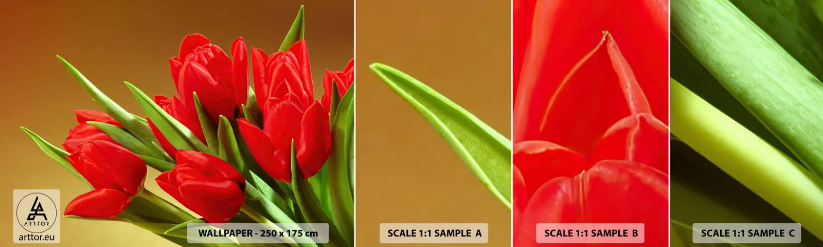 Fototapetenmuster Standard Eco - Ein Haufen Frühlingsfreude - Blumen, Tulpen, Blumenstrauß - 100x30 cm