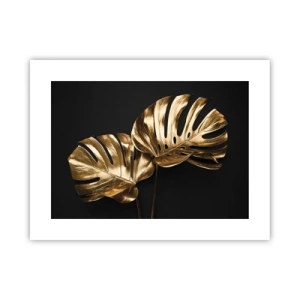 Poster - Die Schätze der Natur - 40x30 cm