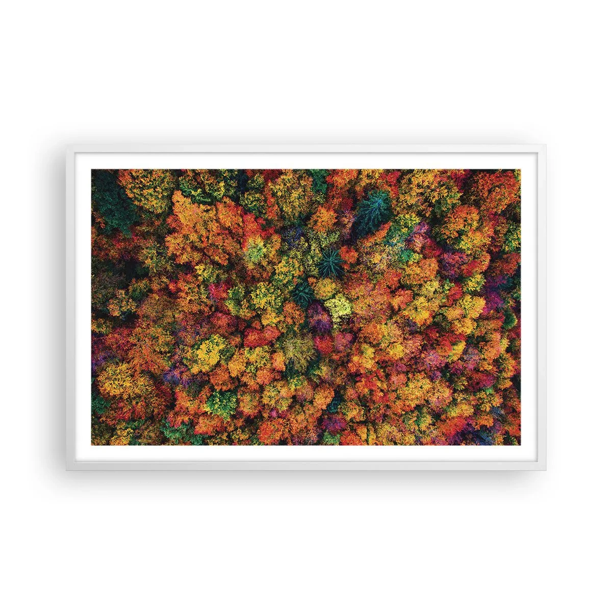 Poster in einem weißen Rahmen - Blumenstrauß aus Herbstbäumen - 91x61 cm