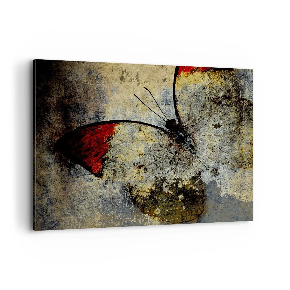 Bild auf Leinwand - Leinwandbild - Ein Schmetterling in Rot- und Grautönen auf strukturiertem Hintergrund - 100x70cm - Pass auf, bevor ich verschwinde - Moderne Wanddekoration für Wohnzimmer und Schlafzimmer ARTTOR