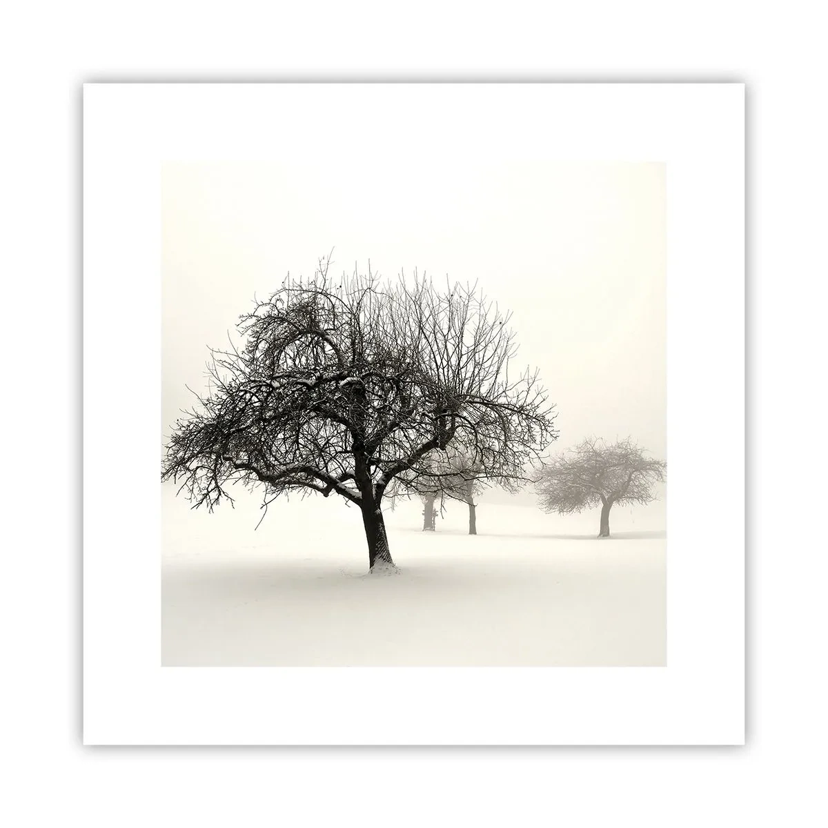 Poster - Winterschlaf - 30x30 cm