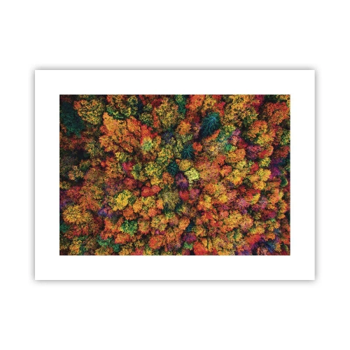 Poster - Blumenstrauß aus Herbstbäumen - 40x30 cm