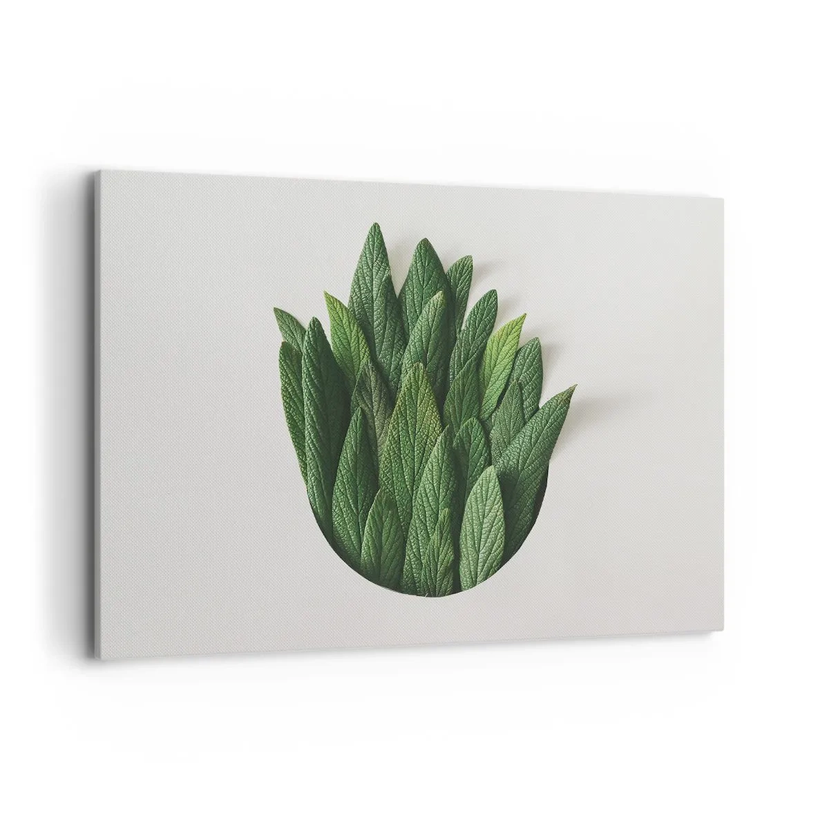 Bild auf Leinwand - Leinwandbild - Eine Komposition aus grünen Blättern auf hellem Hintergrund - 120x80cm - Ungebremste Neugier - Moderne Wanddekoration für Wohnzimmer und Schlafzimmer ARTTOR