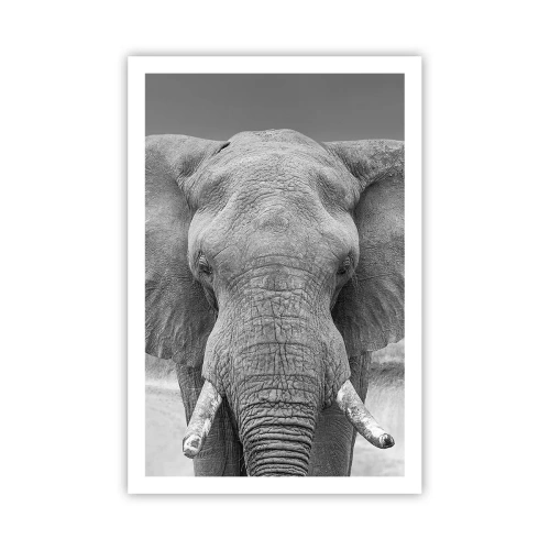 Poster - Willkommen in meiner Welt - 61x91 cm