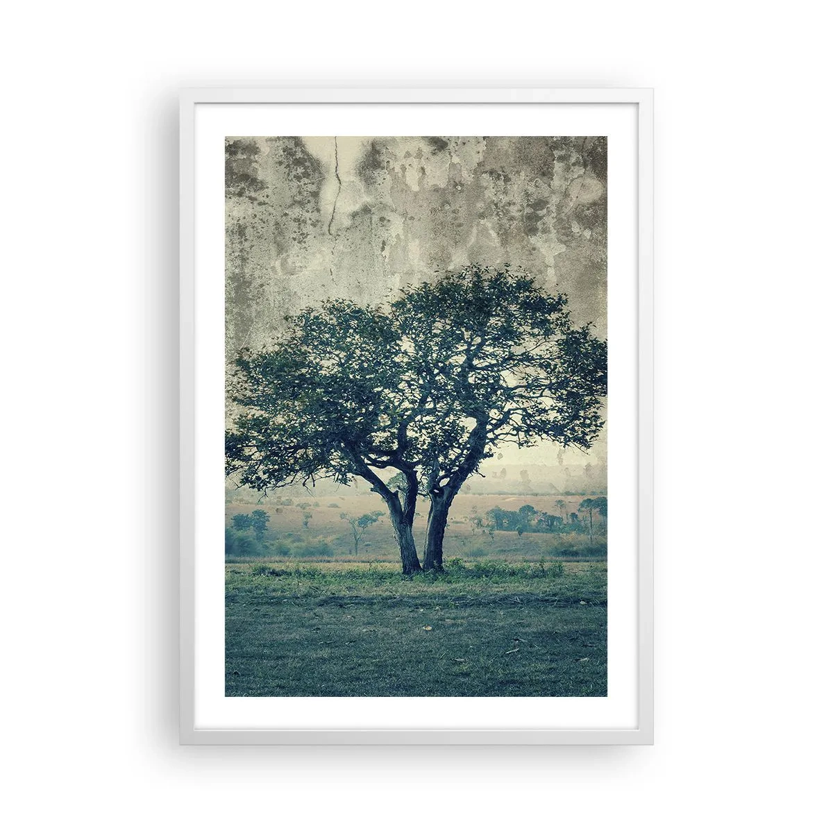 Poster in einem weißen Rahmen - Ein Apfelbaum auf blauem Feld? - 50x70 cm