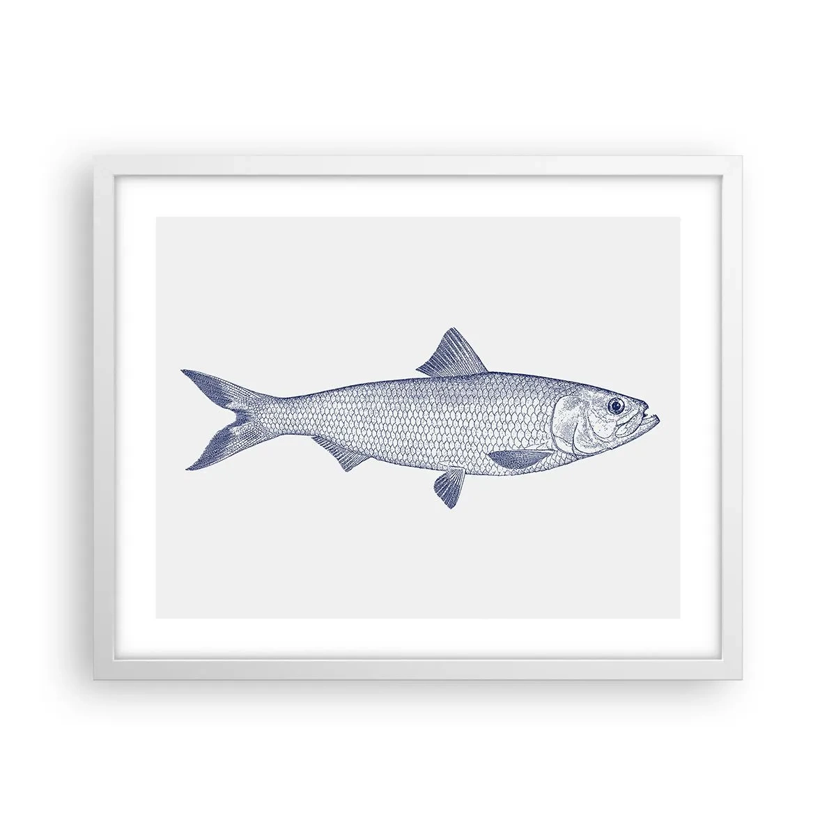 Poster in einem weißen Rahmen - Grüße aus den nördlichen Meeren - 50x40 cm