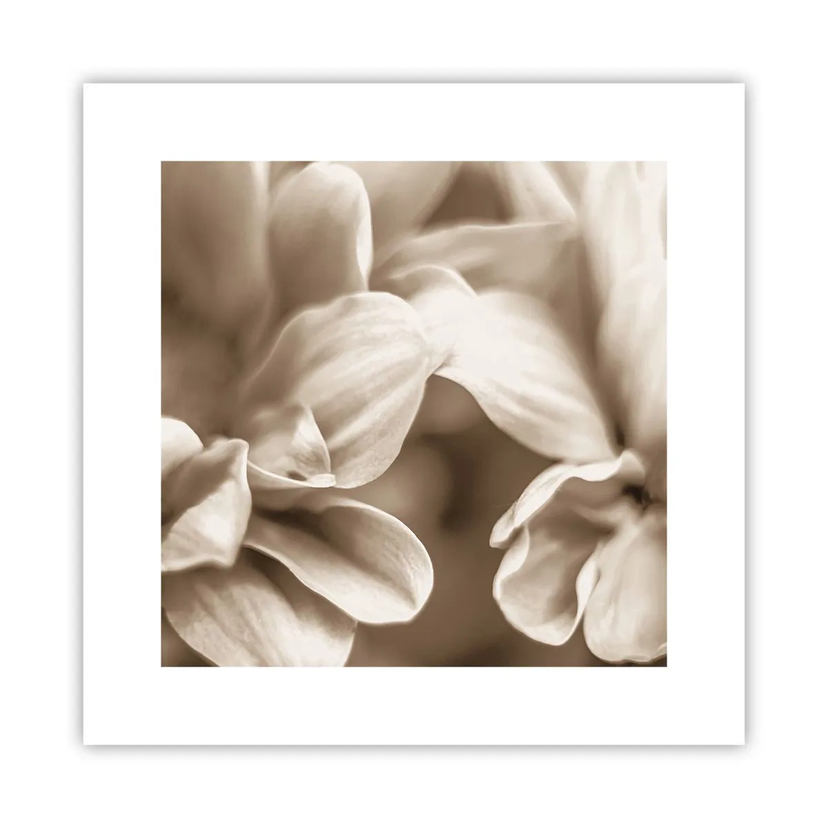 Poster - So sanft wie ein Lächeln - 30x30 cm