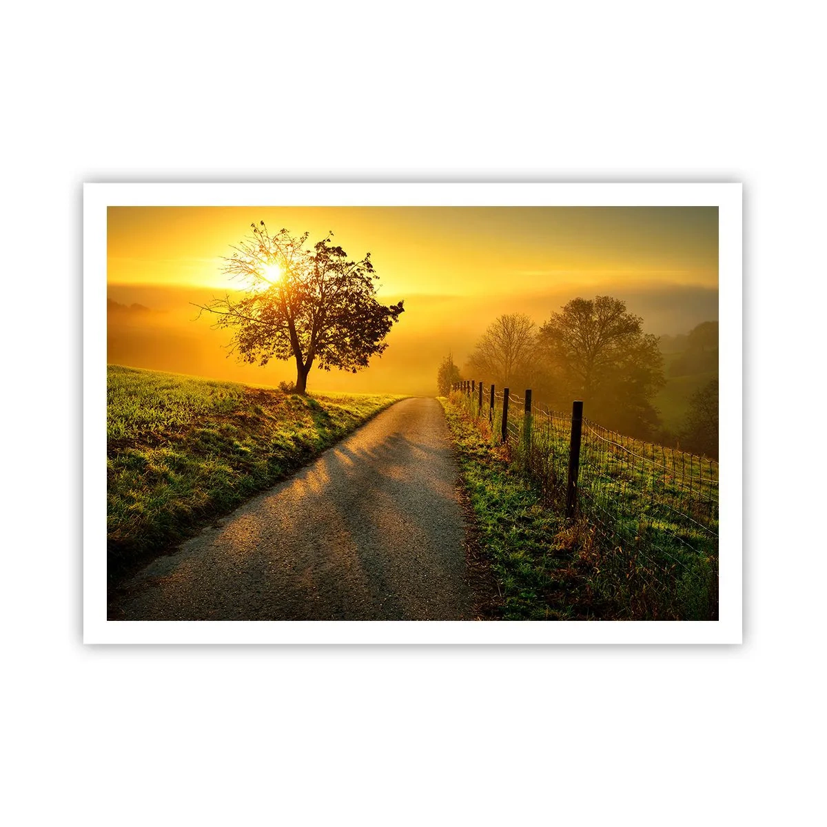Poster - Eine malerische Straße bei Sonnenuntergang mit einem einsamen Baum im Hintergrund - 100x70cm - Honig-Nachmittag - Moderne Wanddekoration für Wohnzimmer und Schlafzimmer ARTTOR
