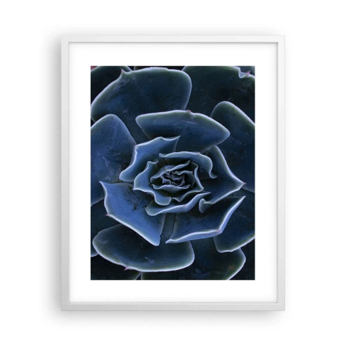 Poster in einem weißen Rahmen - Wüstenblume - 40x50 cm