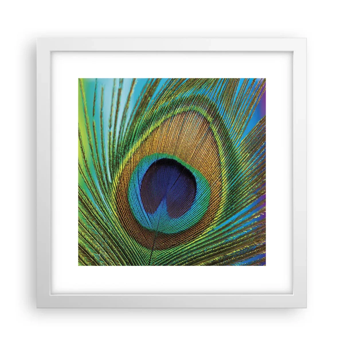 Poster in einem weißen Rahmen - Auge in Auge - 30x30 cm