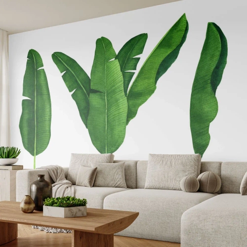 Fototapete Standard Eco - Tropische Bananenblätter auf weißem Hintergrund - 100x70cm - Grüne Symmetrie - Moderne Wanddekoration für Wohnzimmer und Schlafzimmer ARTTOR