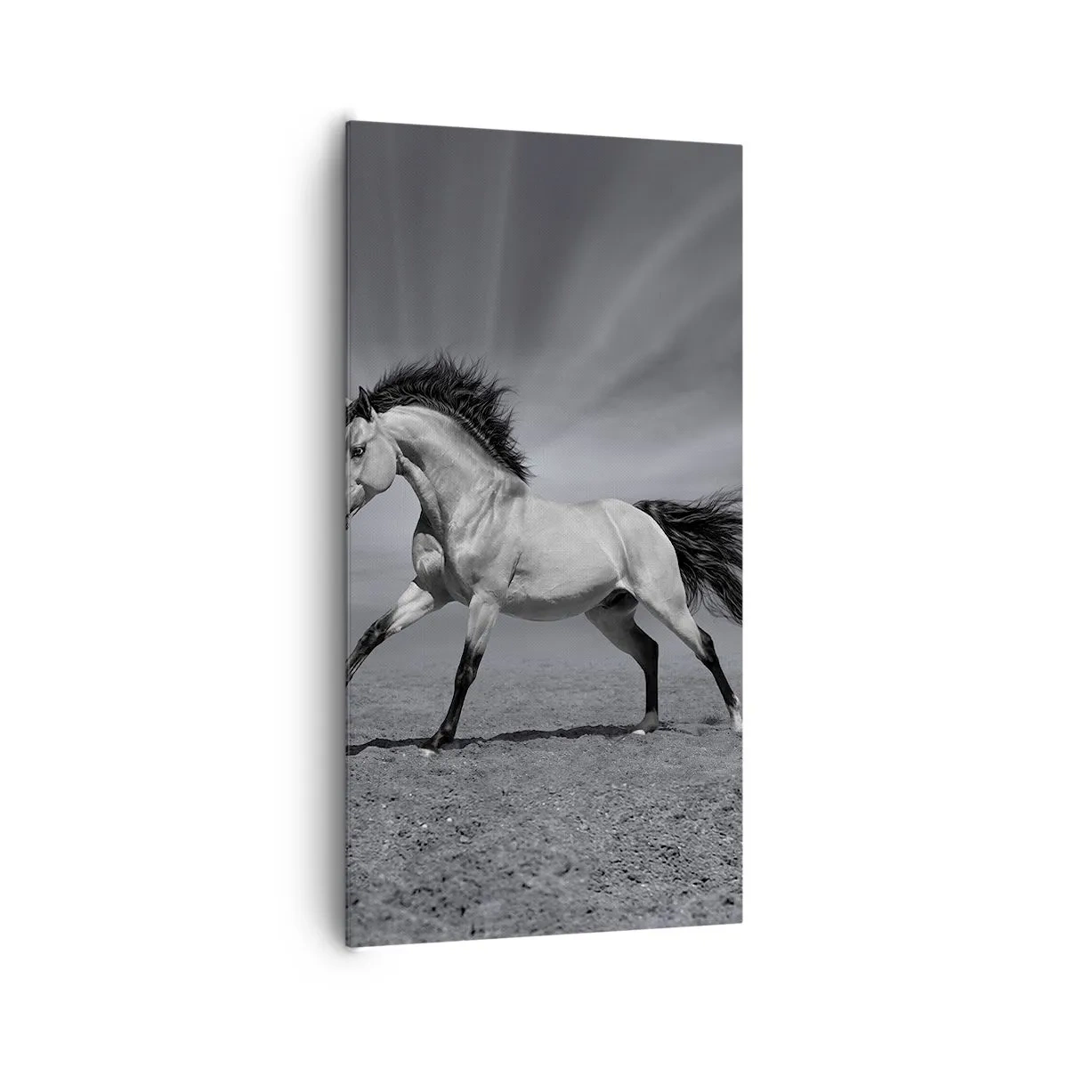 Bild auf Leinwand - Leinwandbild - Geboren um Freude zu bereiten - 65x120 cm