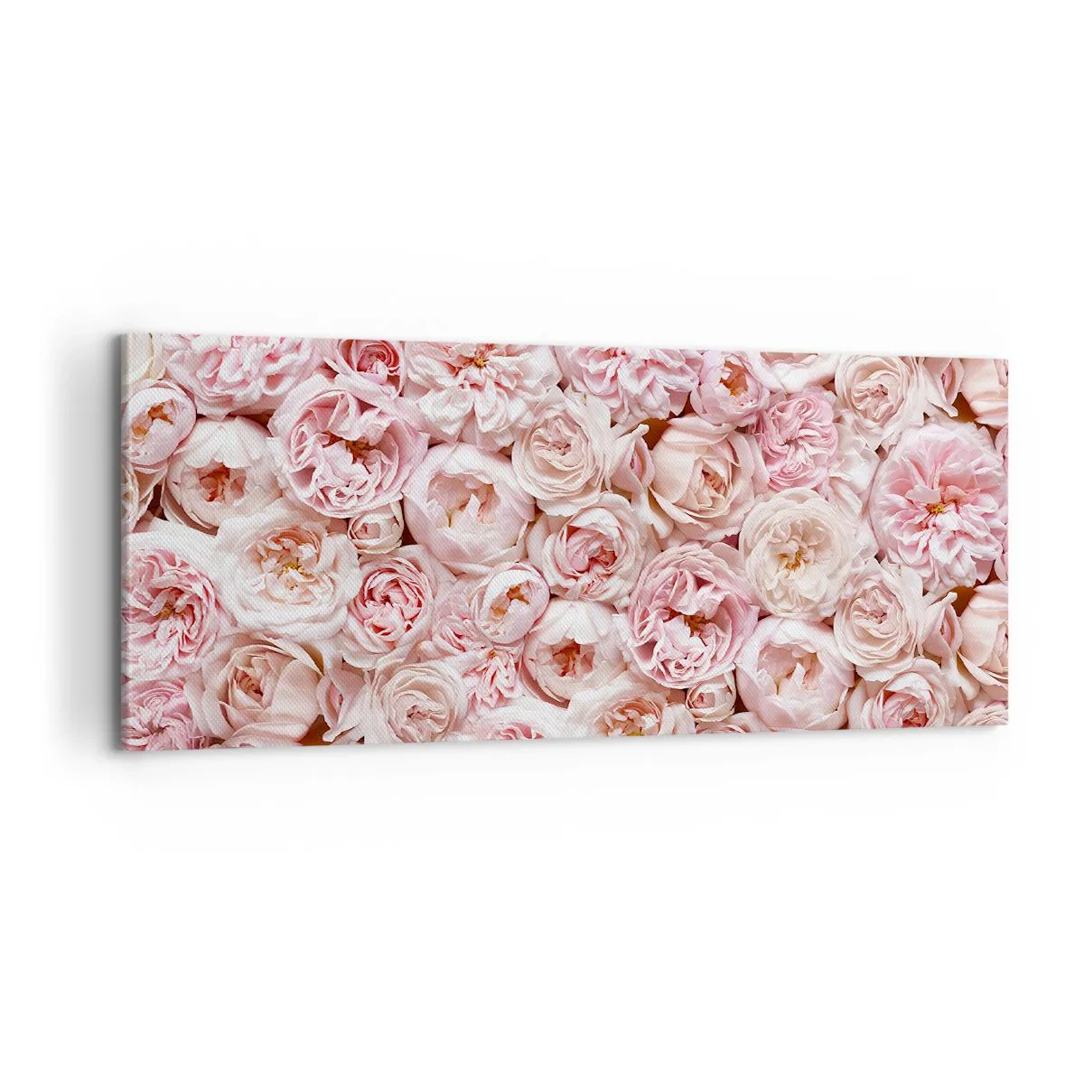 Bild auf Leinwand - Leinwandbild - Auf Rosen gebettet - 100x40 cm