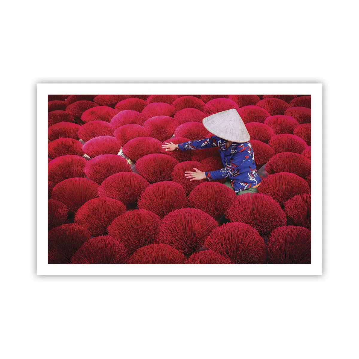 Poster - Im Reisfeld - 91x61 cm