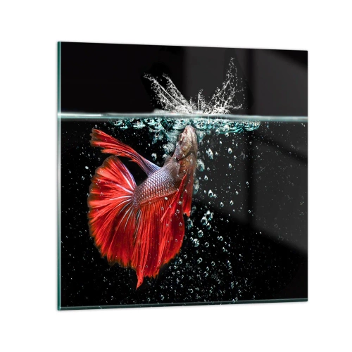 Glasbild - Bild auf glas - Du hast drei Wünsche - 70x70 cm