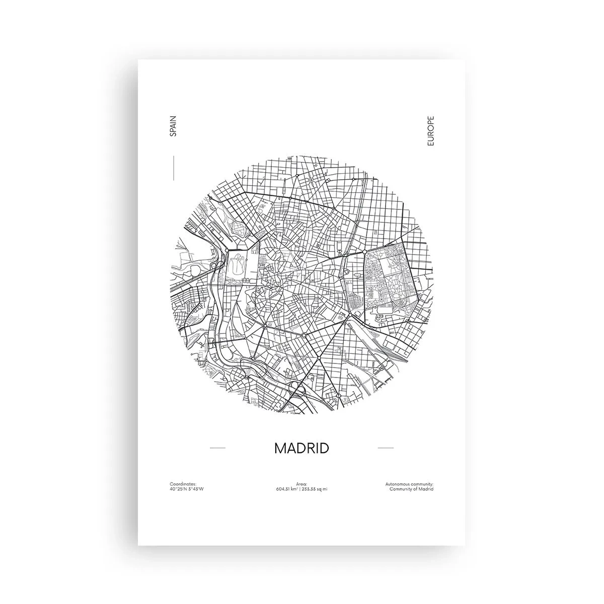 Poster - Anatomie von Madrid - 61x91 cm