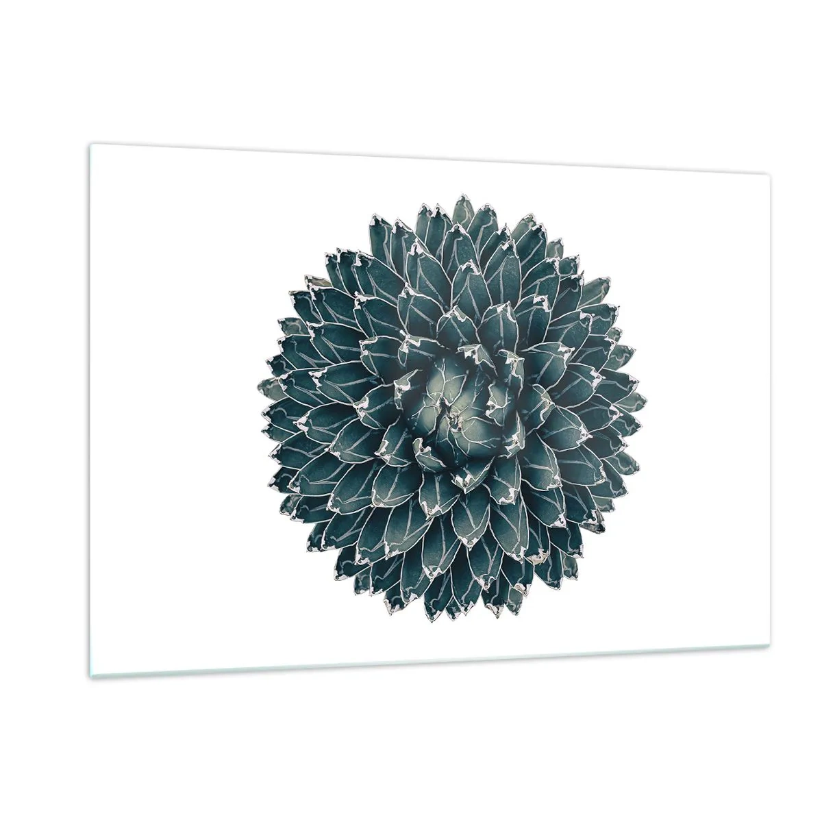 Glasbild - Bild auf glas - Symmetrisches Muster einer Sukkulente auf weißem Hintergrund - 120x80cm - Stern der Wüste - Moderne Wanddekoration für Wohnzimmer und Schlafzimmer ARTTOR
