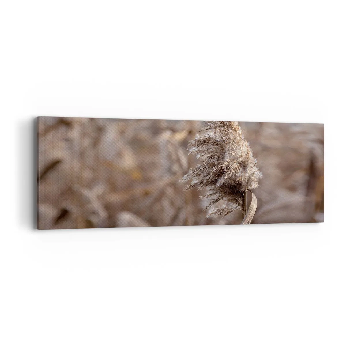 Bild auf Leinwand - Leinwandbild - Zeit, mit dem Wind zu gehen - 90x30 cm