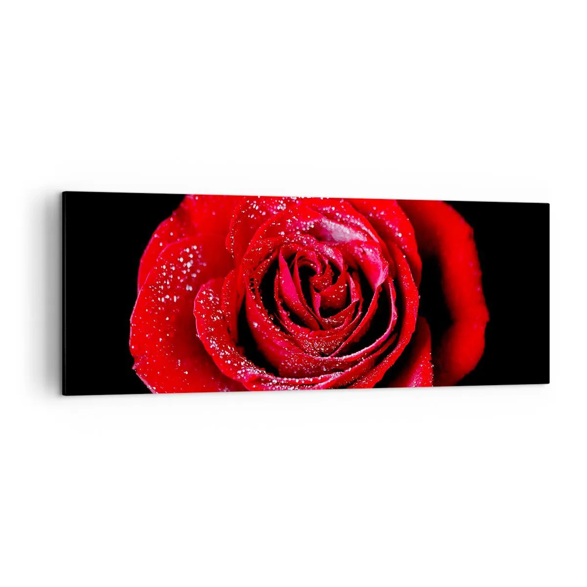 Bild auf Leinwand - Leinwandbild - Eine rote Rose mit Tautropfen auf schwarzem Hintergrund. - 140x50cm - Das ist Liebe - Moderne Wanddekoration für Wohnzimmer und Schlafzimmer ARTTOR