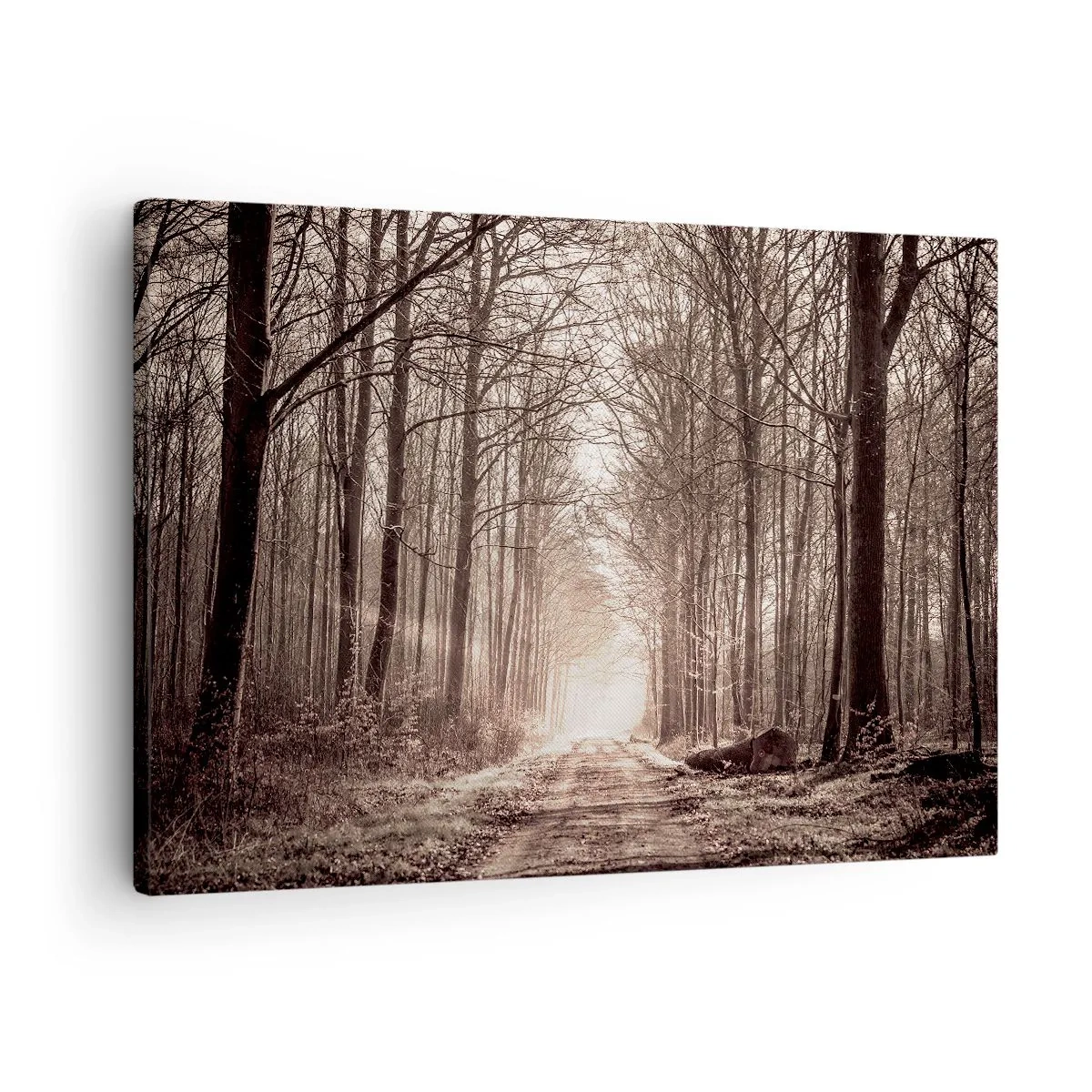 Bild auf Leinwand - Leinwandbild - Ein Waldweg zwischen sepiafarbenen Bäumen - 70x50cm - Waldkathedrale - Moderne Wanddekoration für Wohnzimmer und Schlafzimmer ARTTOR