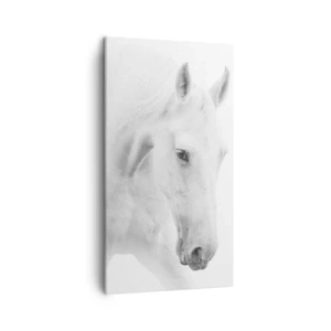 Bild auf Leinwand - Leinwandbild - Ist das Freundschaft...? - 45x80 cm