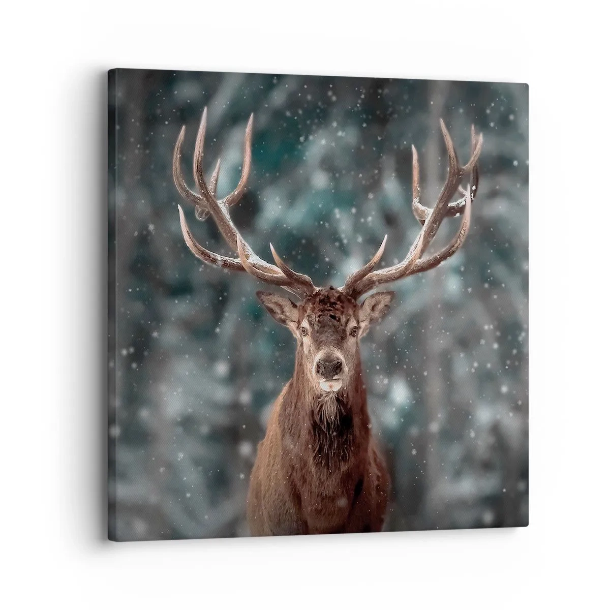 Bild auf Leinwand - Leinwandbild - Gekrönter König des Waldes - 30x30 cm