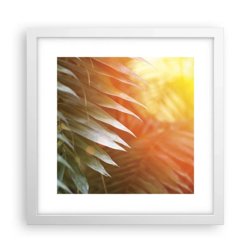 Poster in einem weißen Rahmen - Morgen im Dschungel - 30x30 cm