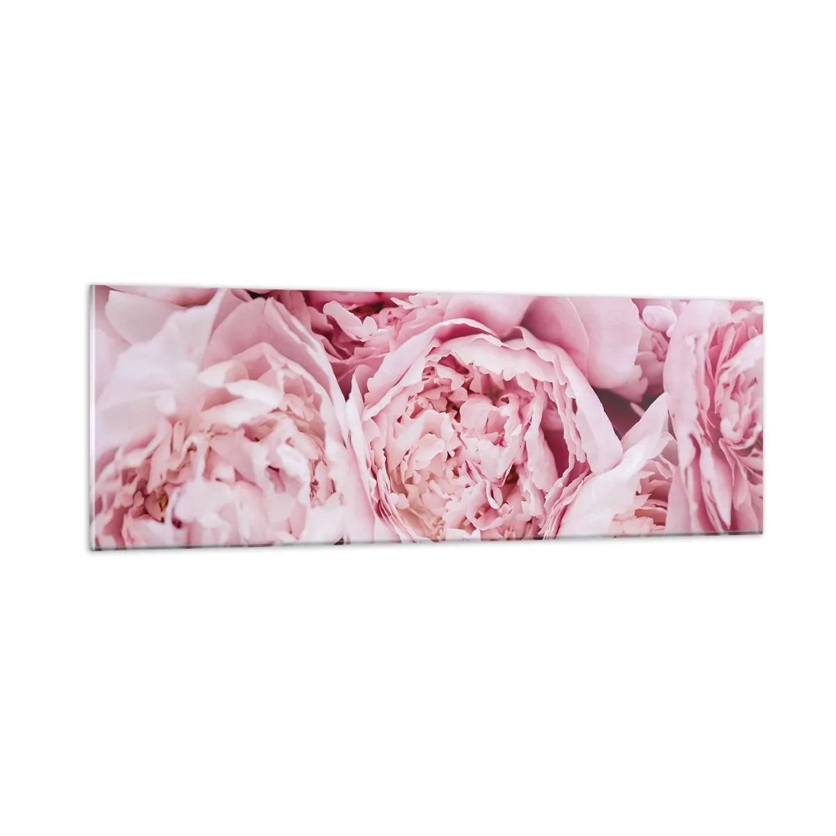 Glasbild - Bild auf glas - Anschmiegsam und duftend - 90x30 cm