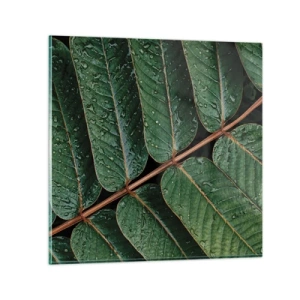 Glasbild - Bild auf glas - Im grünen Rhythmus - 70x70 cm