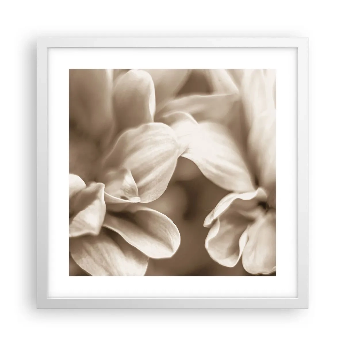 Poster in einem weißen Rahmen - So sanft wie ein Lächeln - 40x40 cm