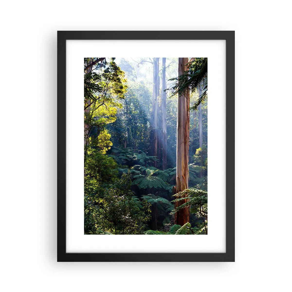 Poster in einem schwarzem Rahmen - Ein Waldmärchen - 30x40 cm